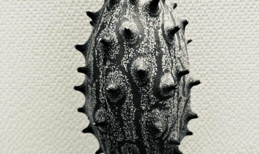 This week -- on Panel Online!