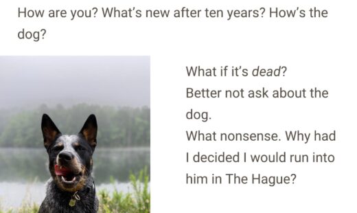 The Hague is an Option